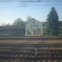 Станция Васильево, Васильево