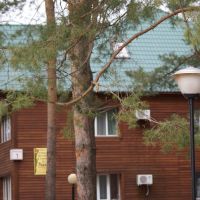 The wooden case in sanatorium "Pine  forest", Васильево