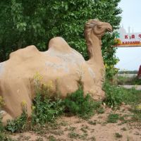 Statue of Camel near cafe "Caravanserai", Казань