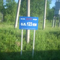 О.п. 123 км, Александровское
