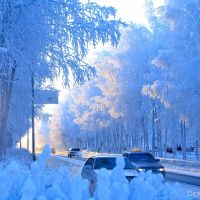 Fabulous winter, Стрежевой
