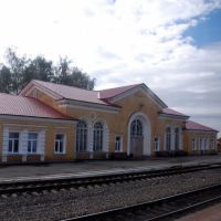 Железнодорожный вокзал Жданка.  Фото Виктора Белоусова., Богородицк