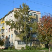 Efremov Apartment Block, Ефремов