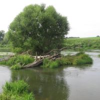 An island at Upa river, Одоев
