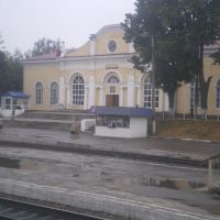 Станция "Узловая" 19.08.2010, Узловая