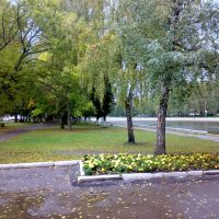 Городской пруд (city water), Узловая