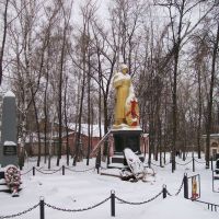Памятник воинам, Щекино