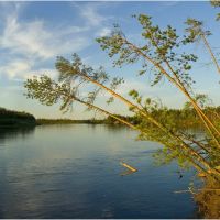 Таёжными тропами..река Пим.., Заводопетровский