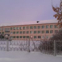 Казанская школа, Казанское