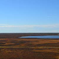 tundra, Yemoto lake, Находка