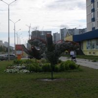Птицы из трав и цветов ул. Ленина (лето 2008), Нижневартовск
