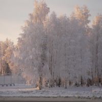 Зима в парке, Советский