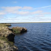 безымянное торфяное озеро, Тазовский