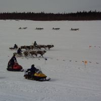 День оленевода, holiday of the reindeer breeder, Тарко-Сале