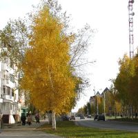 Улица Ленина. Осень., Урай