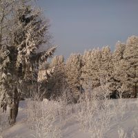 Зимний лес, Игра