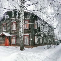 дом 200 на ул. В. Сивкова, Ижевск