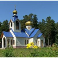 Церковь, Димитровград