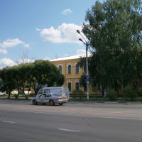 Здание Агролицея, ул. Прониной, 19, Димитровград, Димитровград