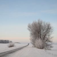 Winter..., Калмыково