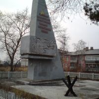 Памятник, Бикин