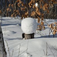 Obluchye (2013-02) - Cap of snow, Облучье