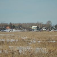 Train to Khabarovsk (2012-11) - Local houses leaving IN station, Смидович