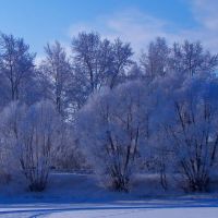 Winter picture, Озерск