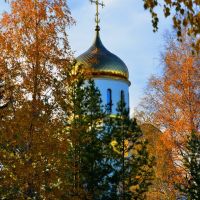 the golden dome of yellow leaves, Озерск