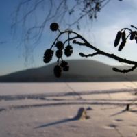 Тургояк, Гора Липовская / Turgoyak(winter view), Бреды