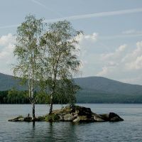 Берёзы на озере Тургояк / Birches on Lake Turgoyak, Бреды