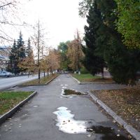 Осень на улице Ленина, Копейск