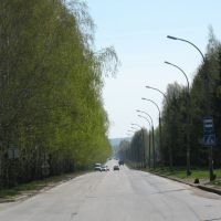 Дорога домой, Советское