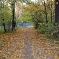 Вход в РОЩУ, золотая осень, Новочебоксарск