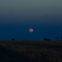 Moonrise in Outback / QLD (Sep. 1979), Бундаберг