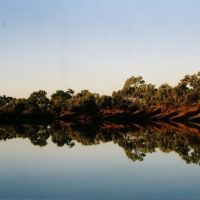 Thompson River, Longreach, Queensland, Калундра