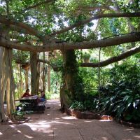 Rockhampton Botanic Gardens, Рокхамптон
