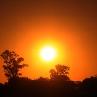 Sunrise In Hermidale nsw..., Албури