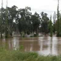 Flood October 2010: Wagga Beach Caravan Park (without vans and under water), Вагга-Вагга
