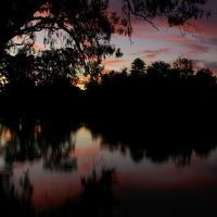 Wollundry Lagoon: Sunset Silhoutte, Вагга-Вагга