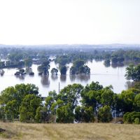 And still the water rises:  Wagga Wagga Floods 2012, Вагга-Вагга