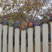 A fine example of Guerrilla Knitting commited by Wagga Waggas own Guerrilla Knitter!, Вагга-Вагга