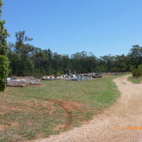 Tullamore - Cemetery - 2014-01-14, Гоулбурн