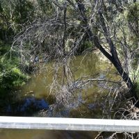 Crooked Creek Macquarie River, Mumblebone Plain by Dr Muhammad J Siddiqi State Water Corp, Куэнбиан