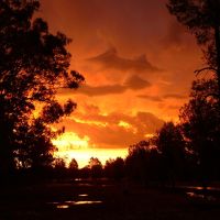 Outback Sunset, Оранж