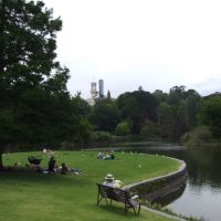 0385 Melbourne, Royal Botanic Gardens, Мельбурн