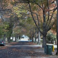 Autumn colours in Gnarr Street, Ballarat, Балларат