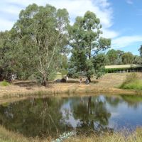 Andrews Yabby Pond (before the drought), Водонга