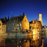 Saule pleureur à Bruges , la nuit, Брюгге
