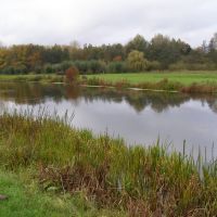 a pond near Destelbergen, Алост